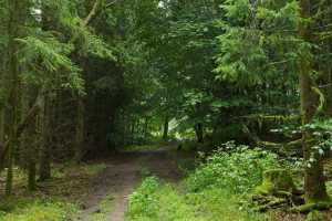 Sommercamp-2025-Verteiler-003