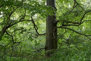 Sommercamp-2025-Verteiler-004