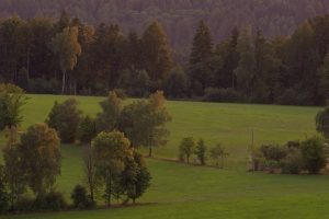 Sommercamp-2025-Verteiler-050