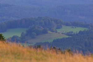 Sommercamp-2025-Verteiler-092