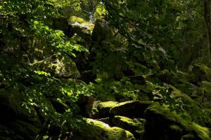 Sommercamp-2025-Verteiler-134