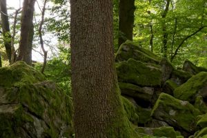 Sommercamp-2025-Verteiler-138