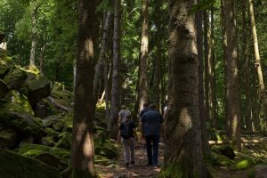 Sommercamp-2025-Verteiler-148