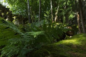 Sommercamp-2025-Verteiler-150